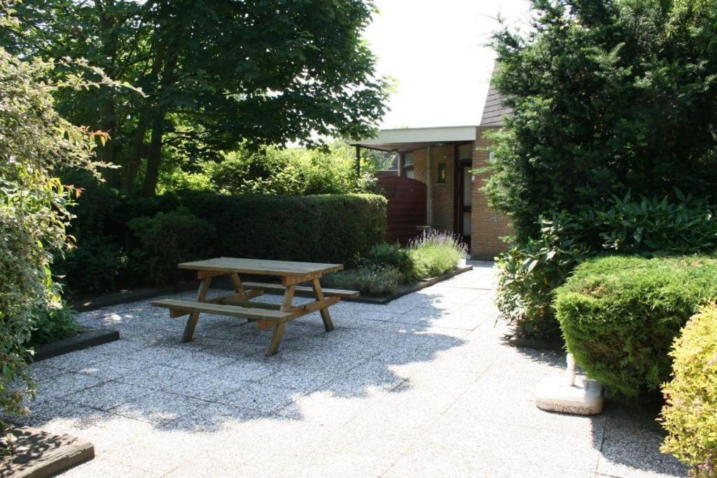 Liguster 73* Nieuwvliet