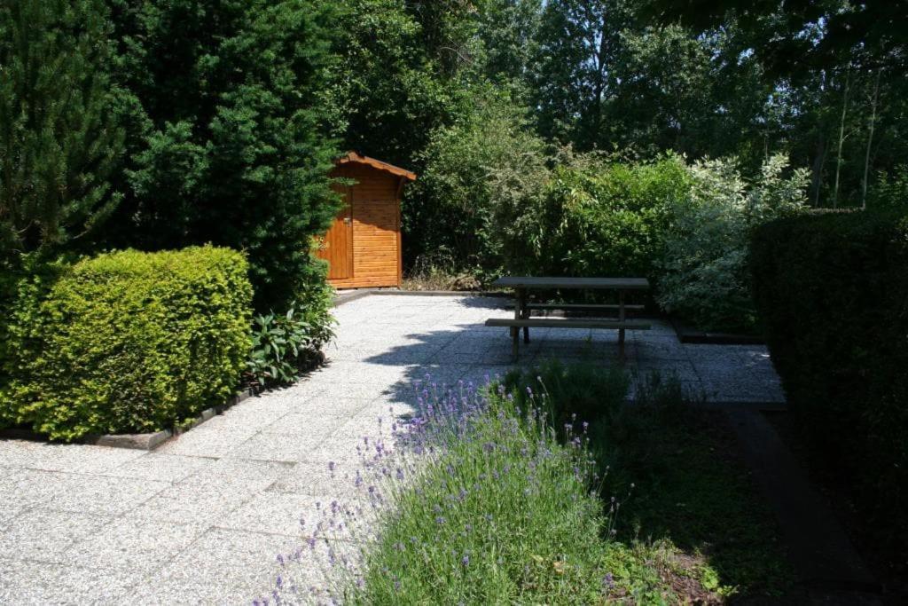Liguster 73* Vakantiehuis Nieuwvliet