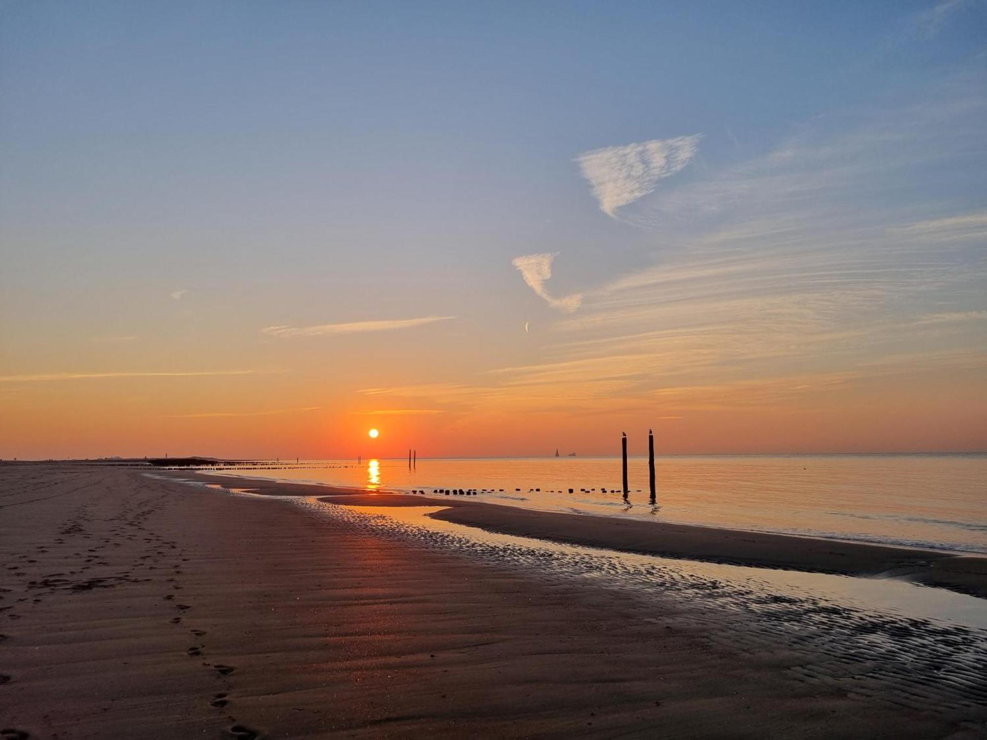 Vakantiehuis Liguster 73*