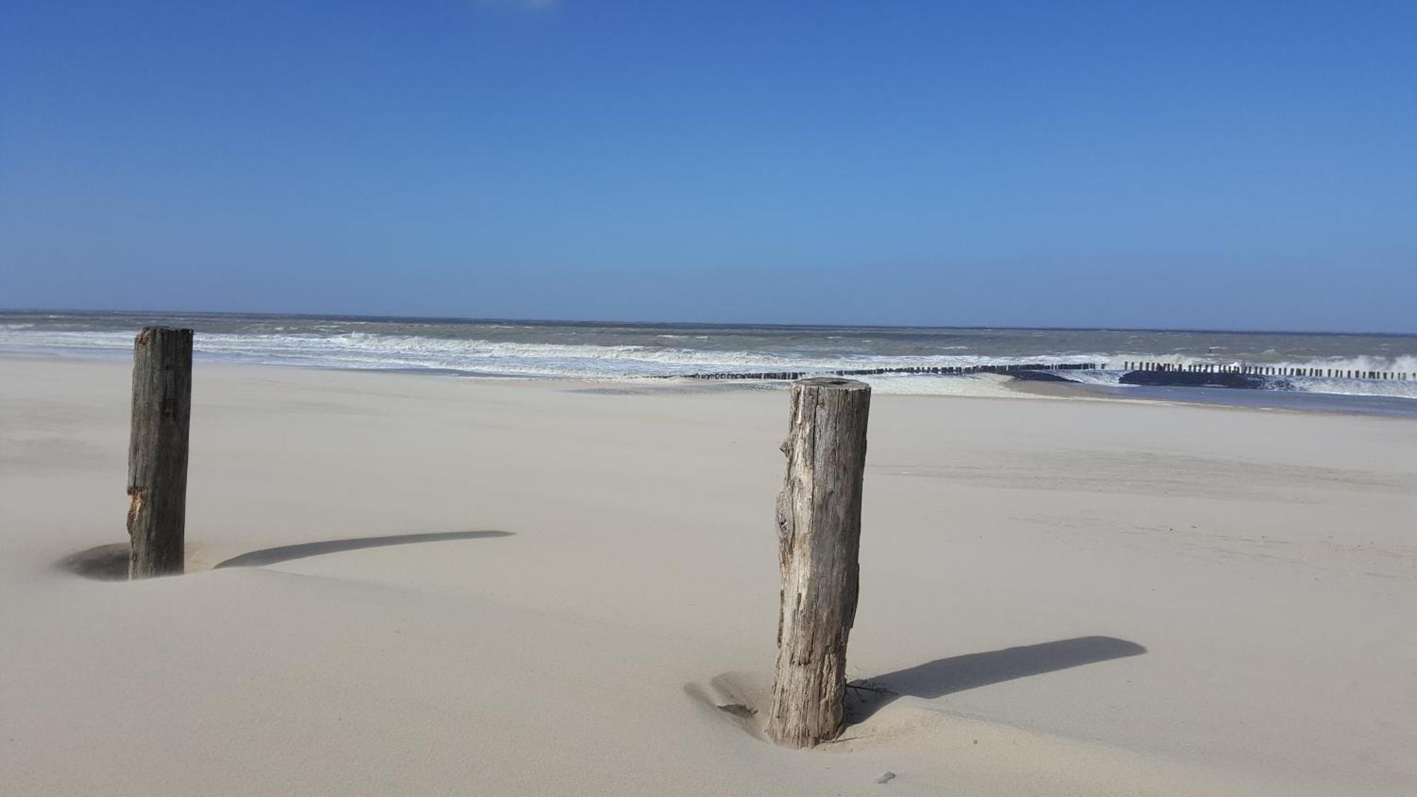 Vakantiehuis Liguster 73* *